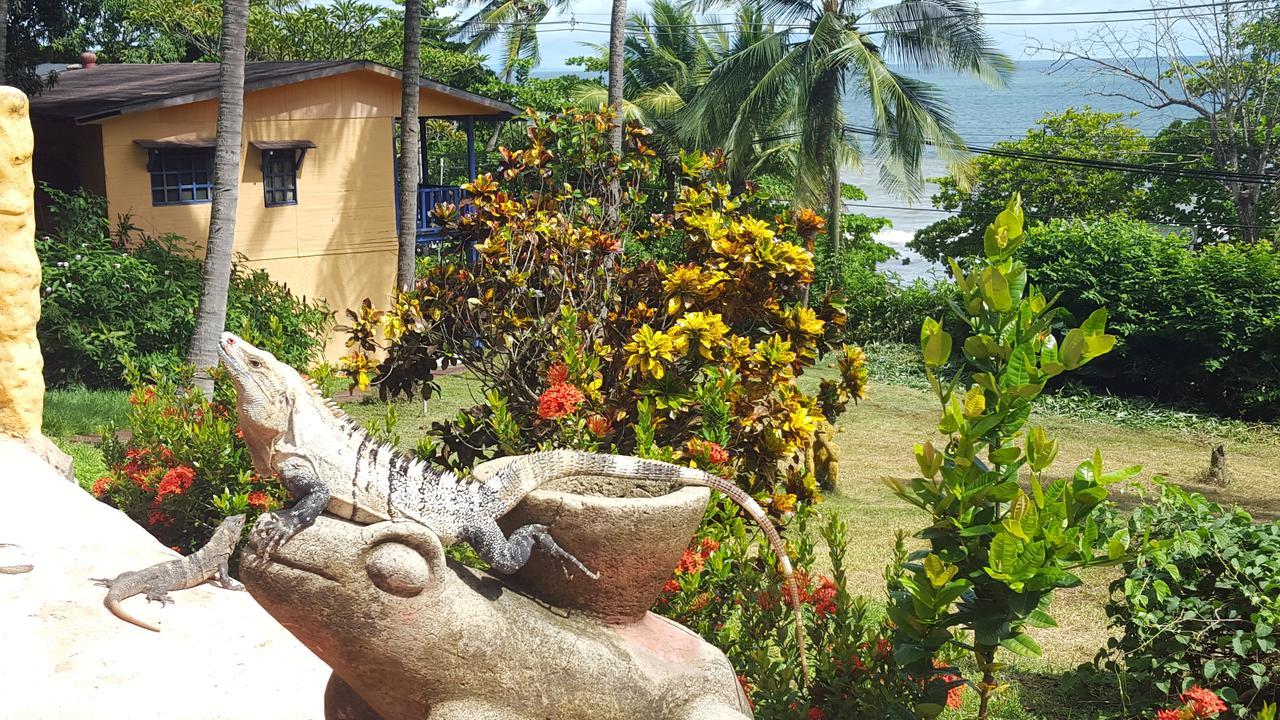 مونتيزوما Hotel Los Mangos المظهر الخارجي الصورة