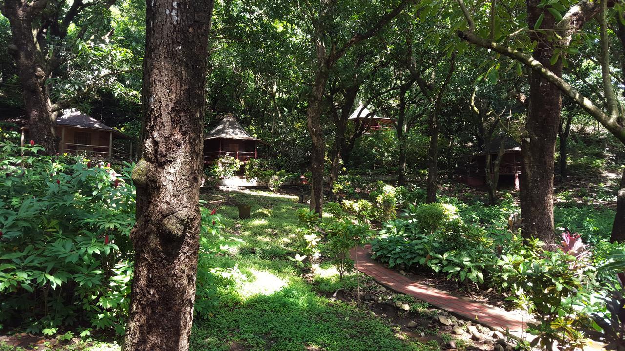 مونتيزوما Hotel Los Mangos المظهر الخارجي الصورة