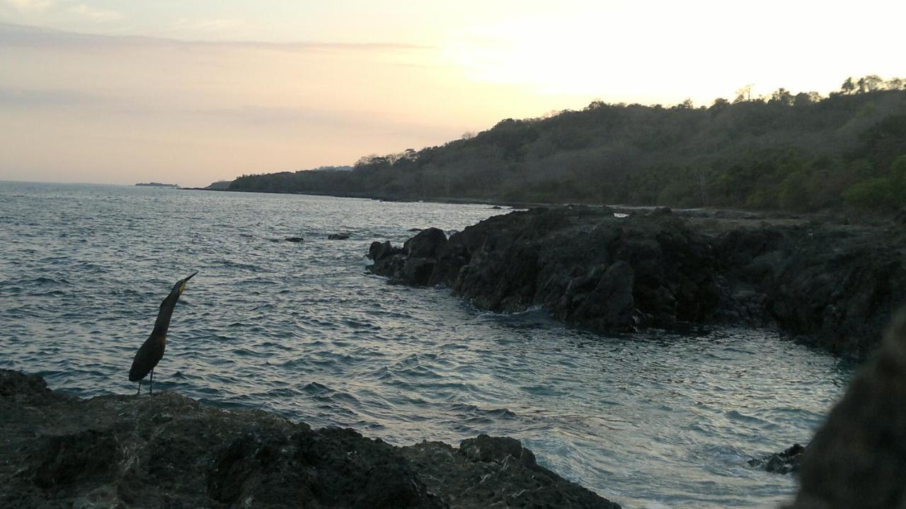 مونتيزوما Hotel Los Mangos المظهر الخارجي الصورة