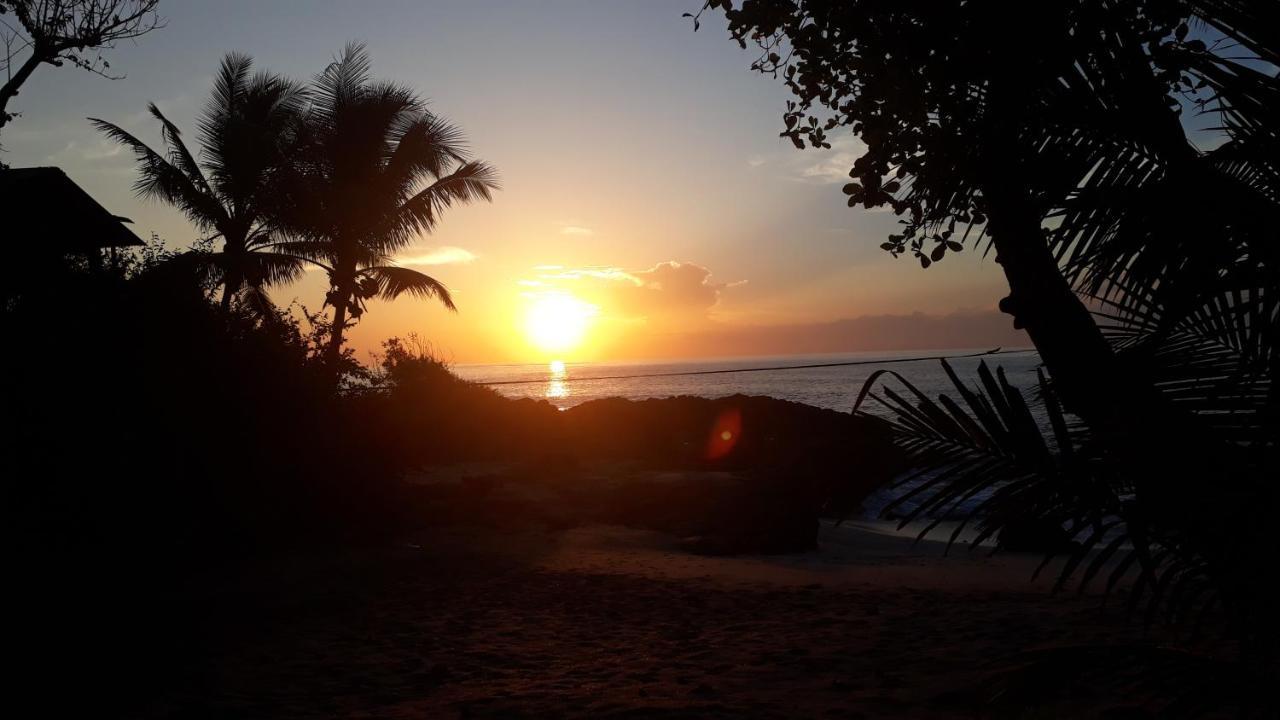 مونتيزوما Hotel Los Mangos المظهر الخارجي الصورة