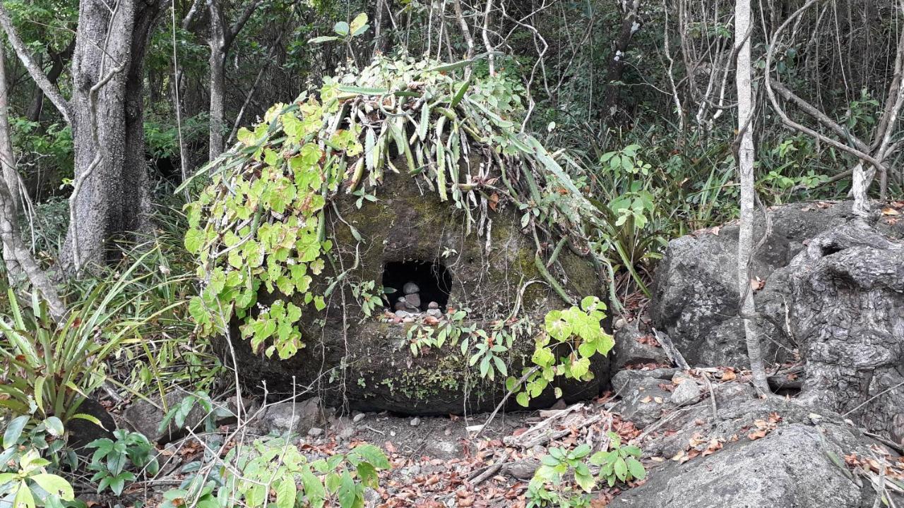 مونتيزوما Hotel Los Mangos المظهر الخارجي الصورة